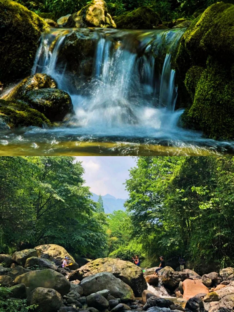 成都周边游|夏日避暑耍水61峨眉山大沟 91人皆苦炎热,我爱夏日长