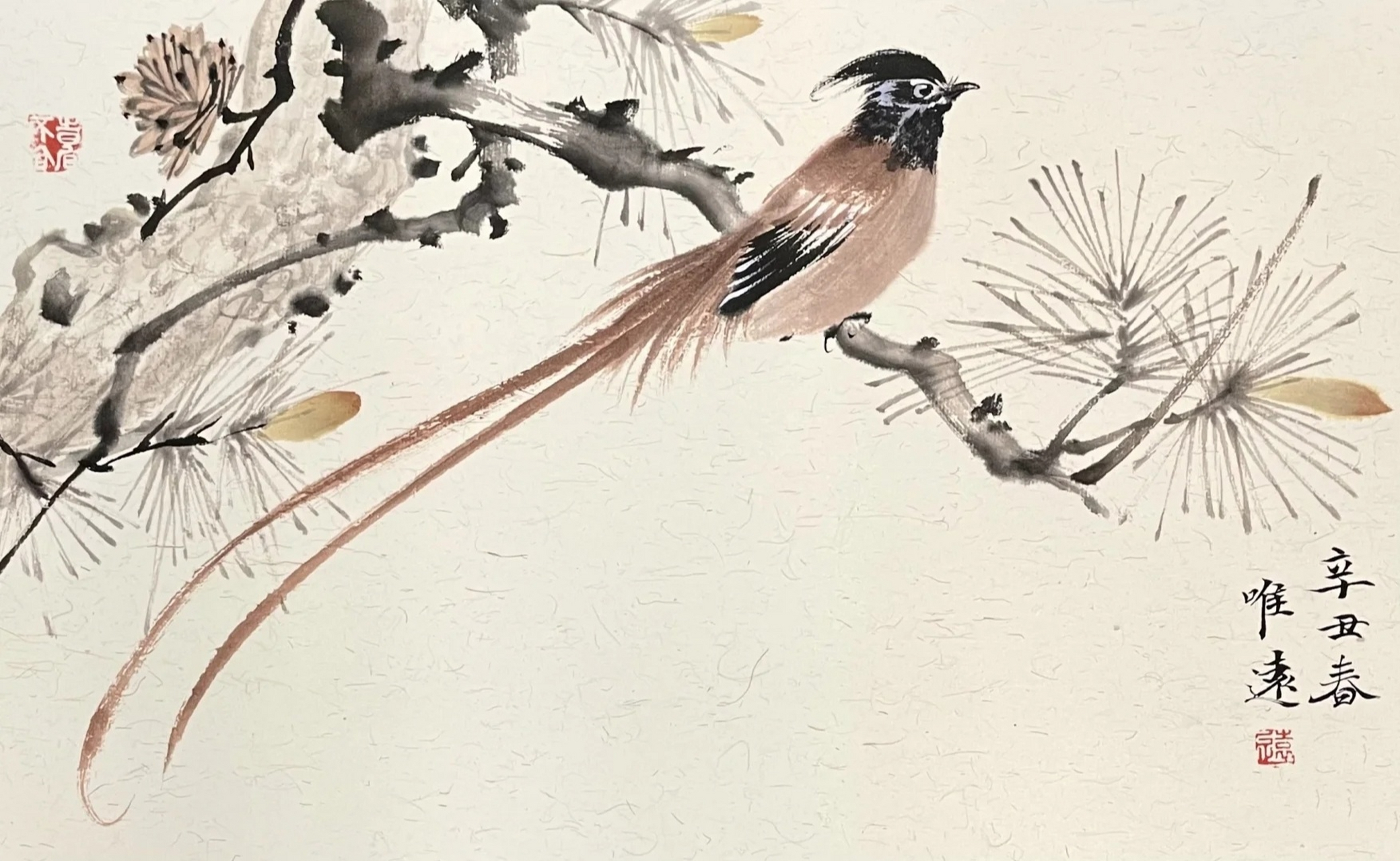 国画—绶带鸟 《双寿图》 1,这幅作品描绘松树和缓带鸟,寓意长寿,和谐