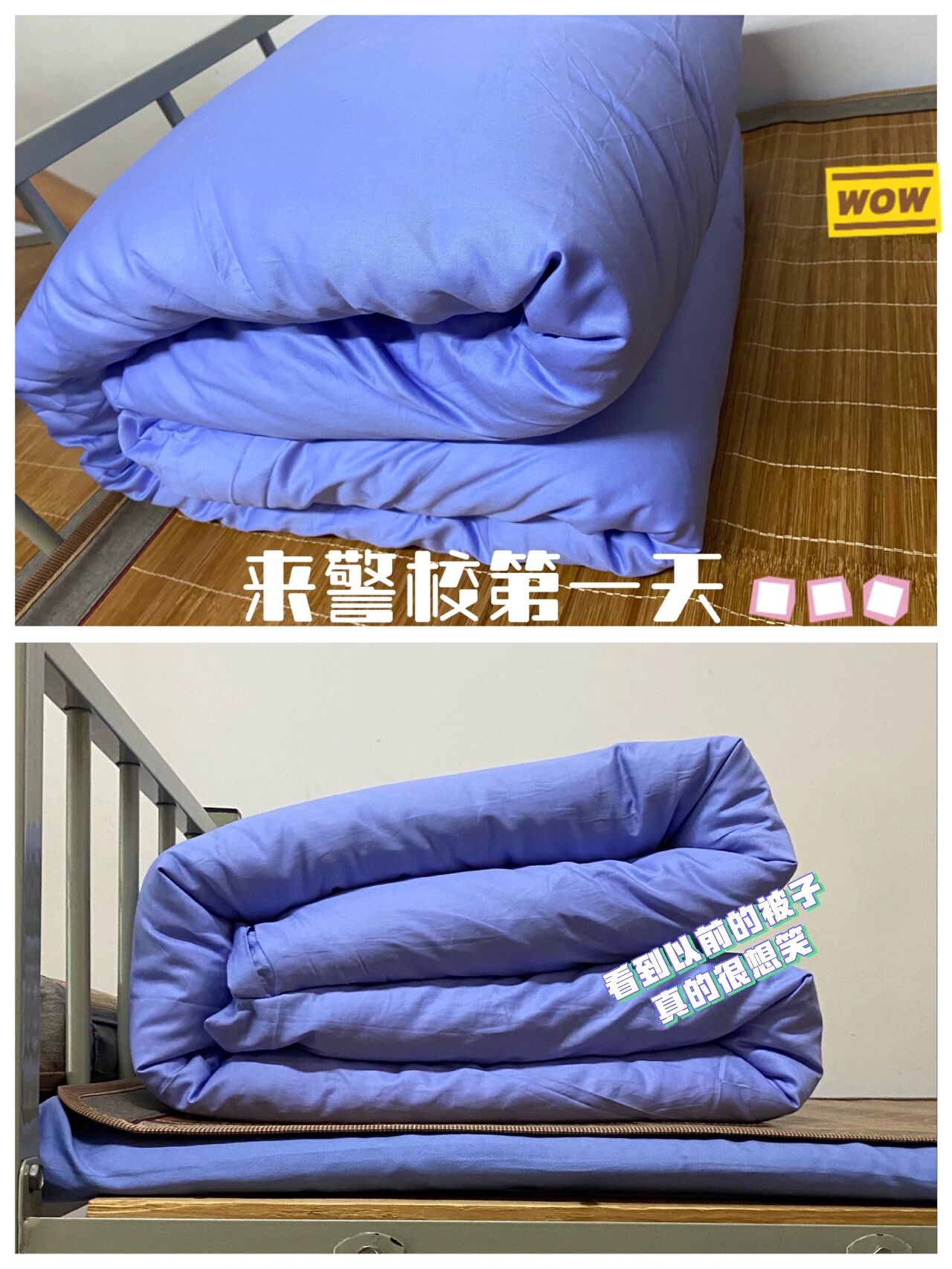 警校生被子进化史