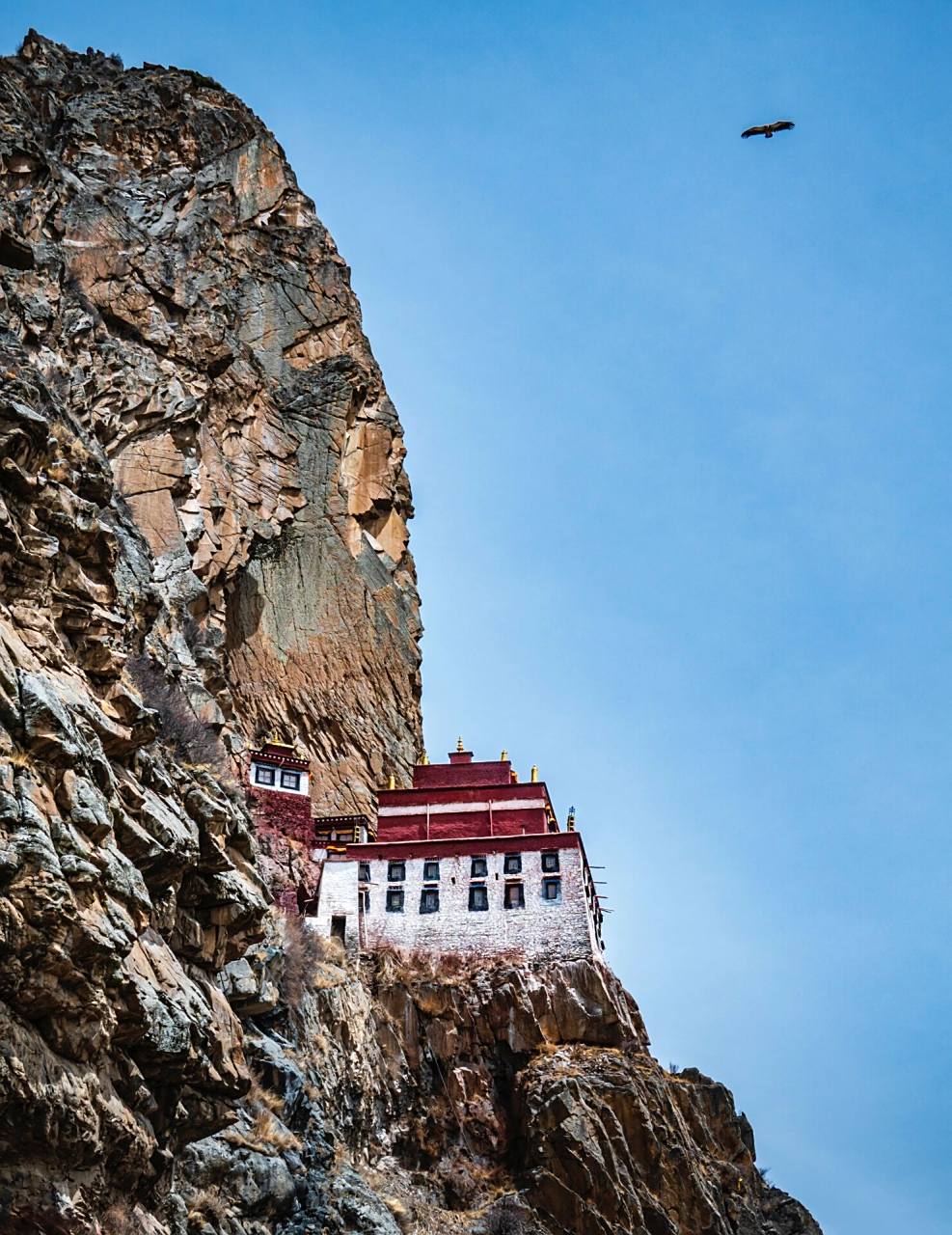 更震撼悬崖寺庙,拉萨当天可往返 拉萨林周县狮林寺,一座在手机地图上