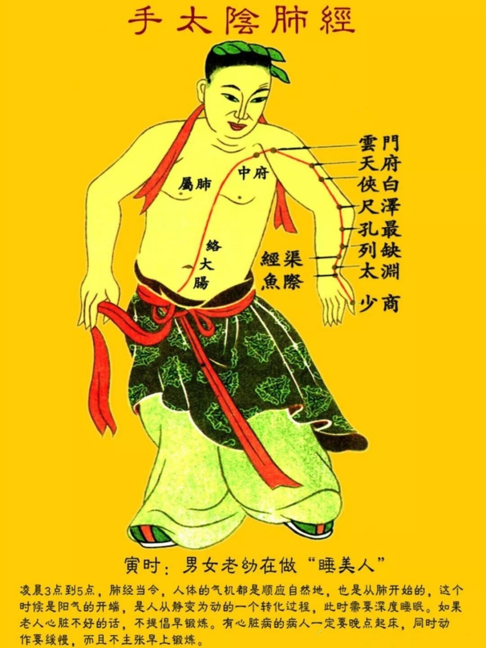 十二经络—肺经 肺经有11穴,分于左右手两侧,分别为中府,云门,天府,侠