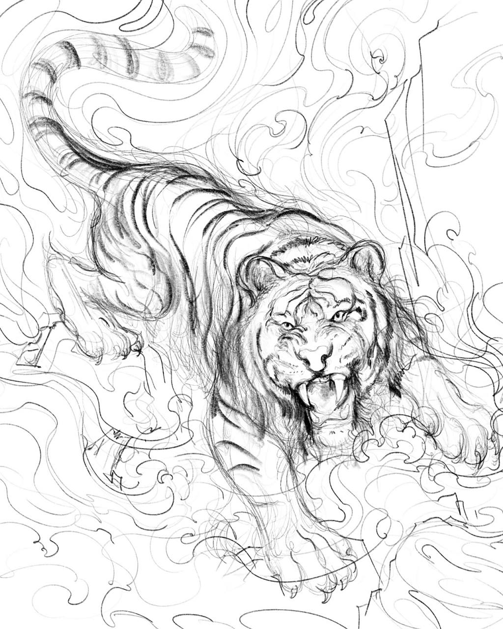 四大神兽插画之白虎 更一个白虎的过程图