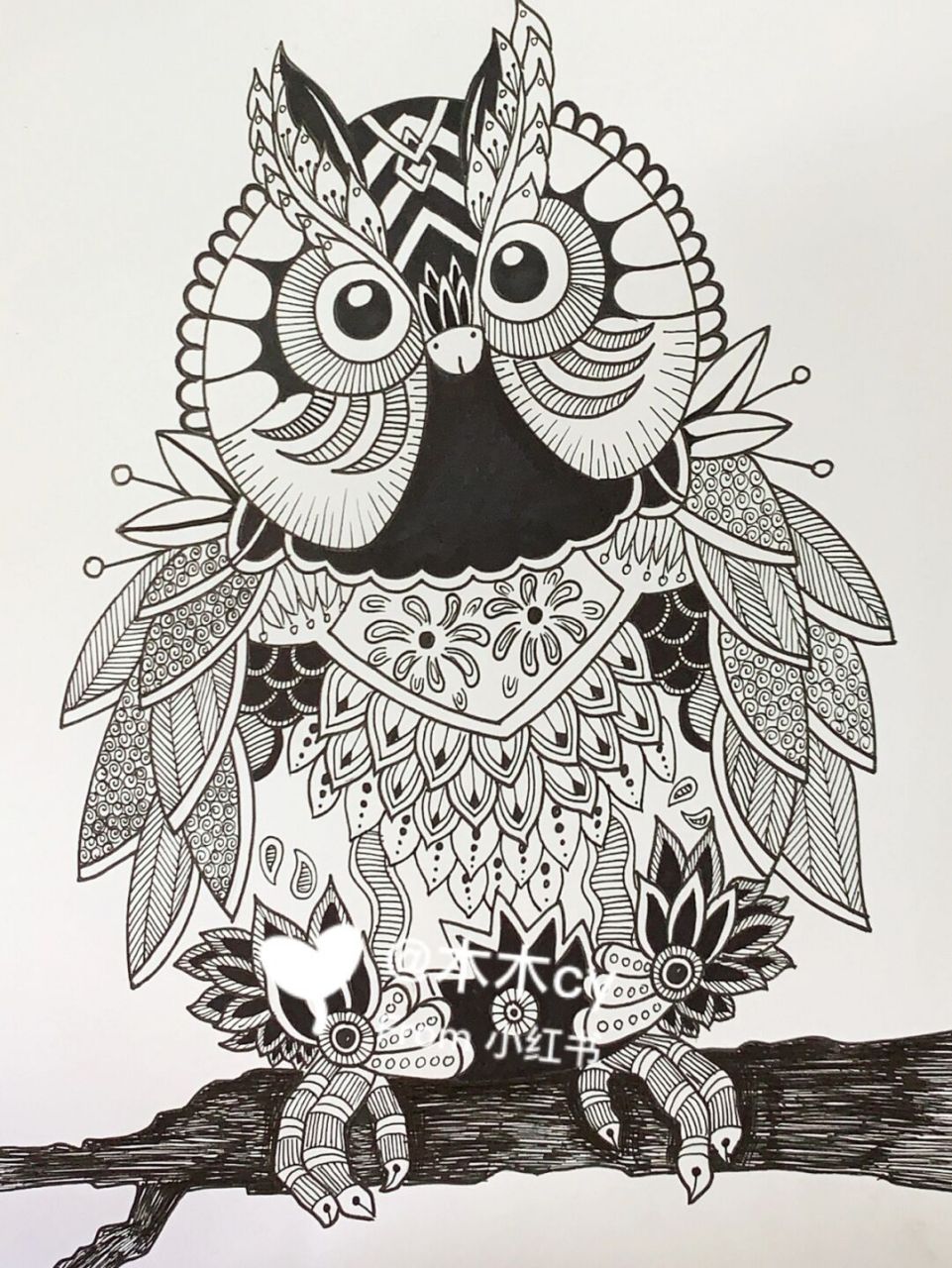 临摹了一只好看的猫头鹰[庆祝] #线描