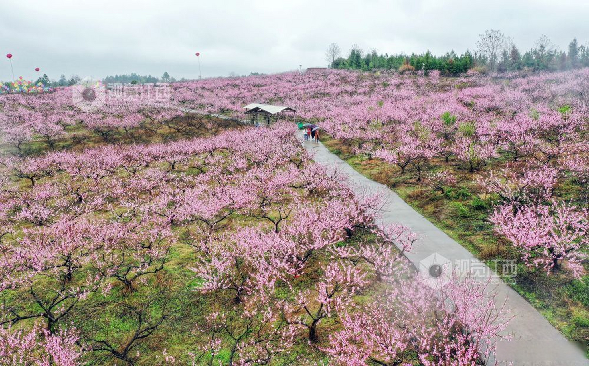 丰城铁路桃花谷照片图片