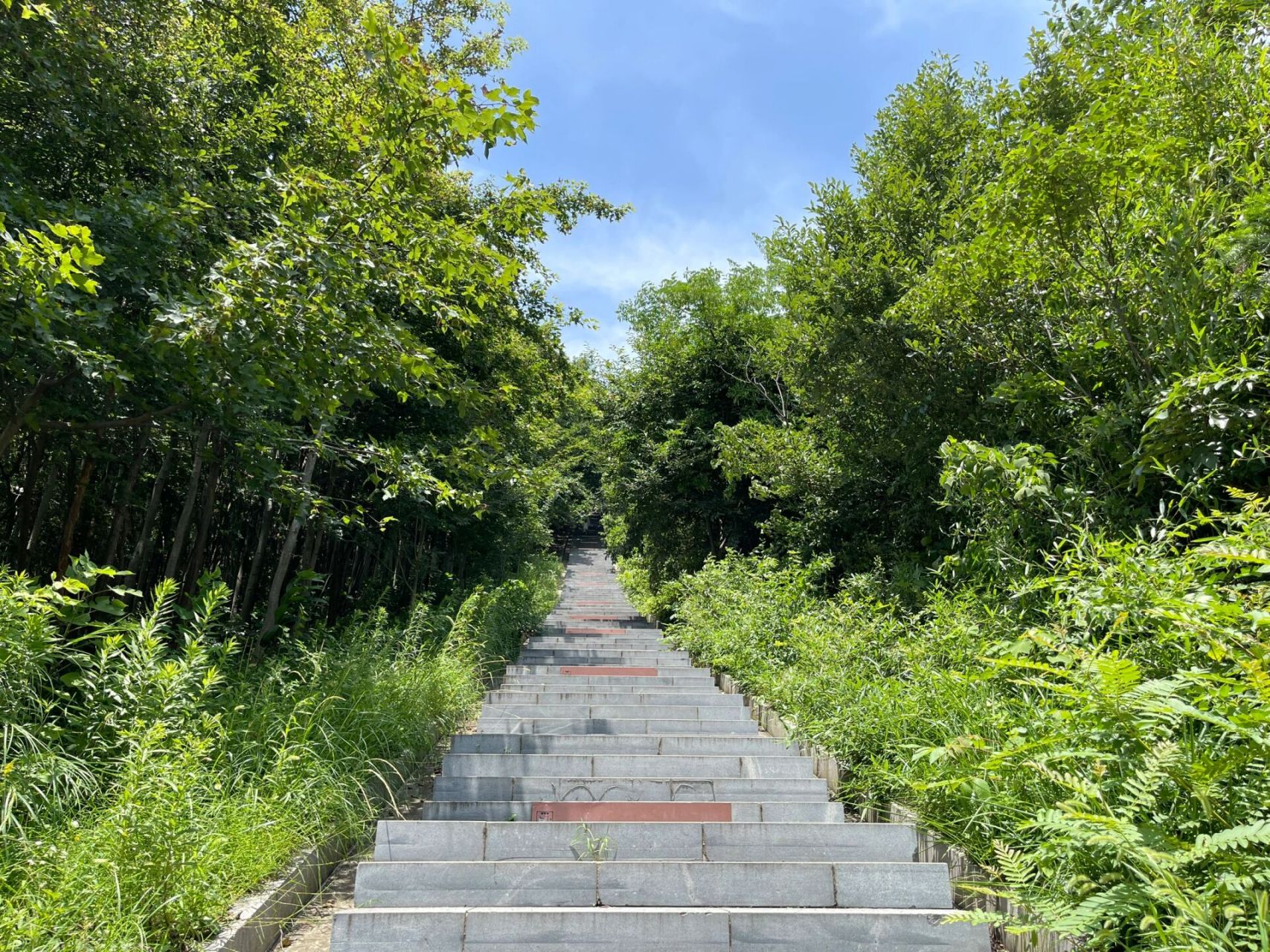 合肥周边游之——打卡冶父山73 99安徽省合肥市庐江县冶父山国家