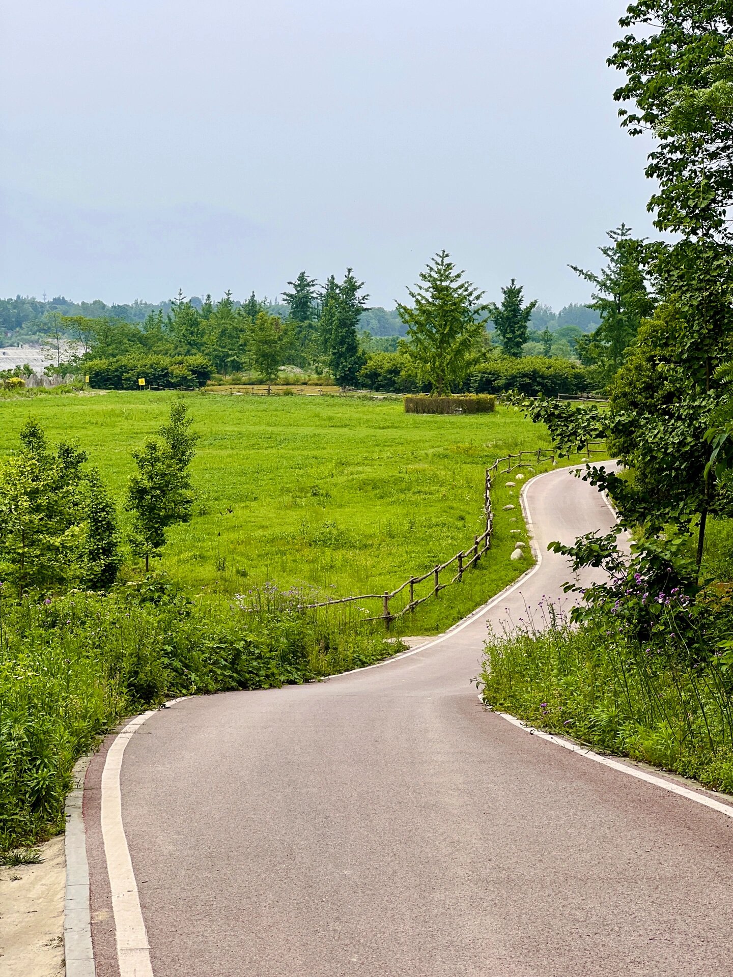 骑行|温江北林绿道「康家浩湿地公园段