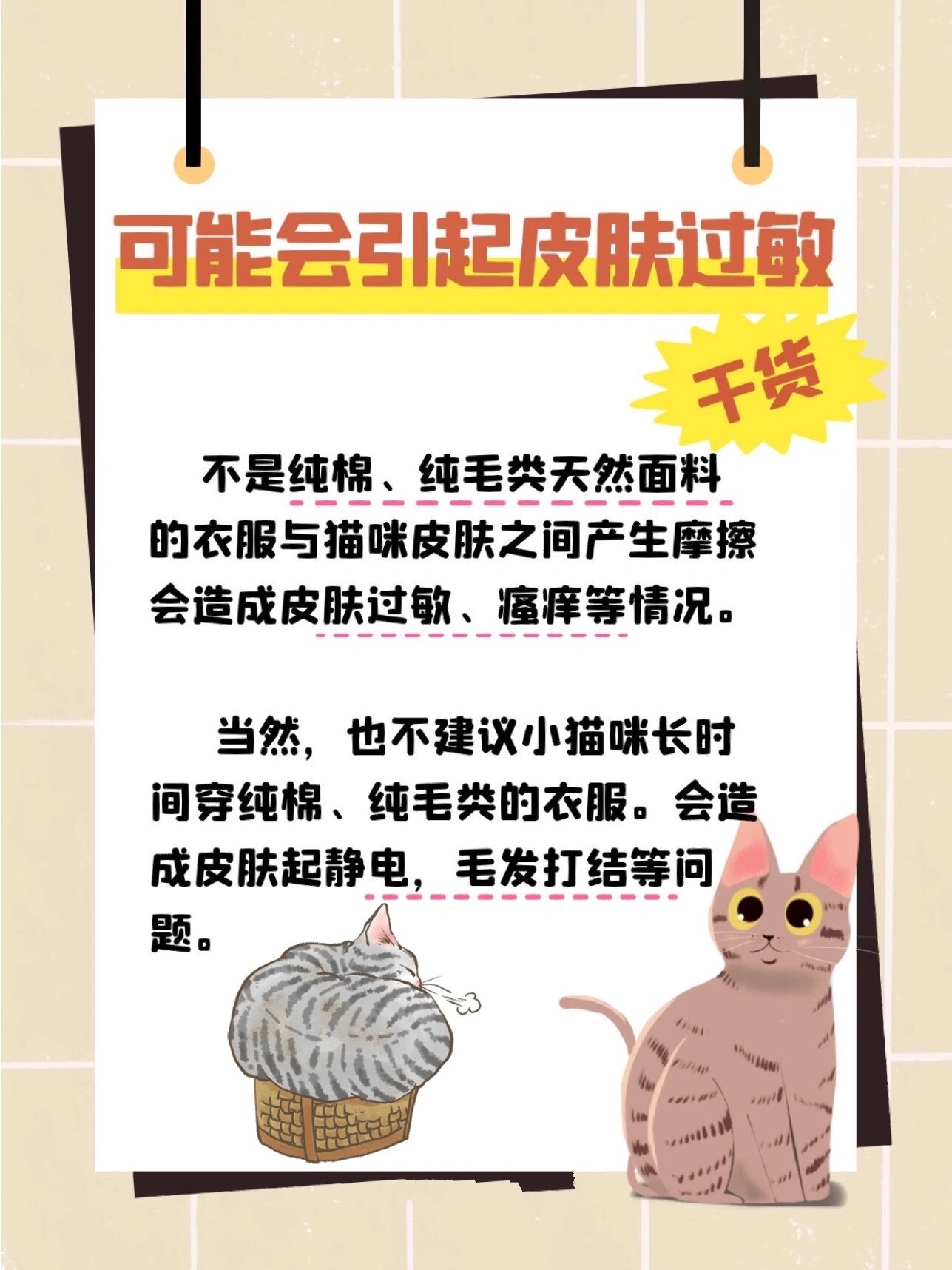 �养猫攻略|可以给猫咪穿衣服吗 天气冷,可以给猫咪穿衣服吗?