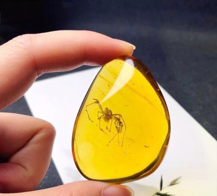 如何判断虫珀真假?就五点,您可记住了!