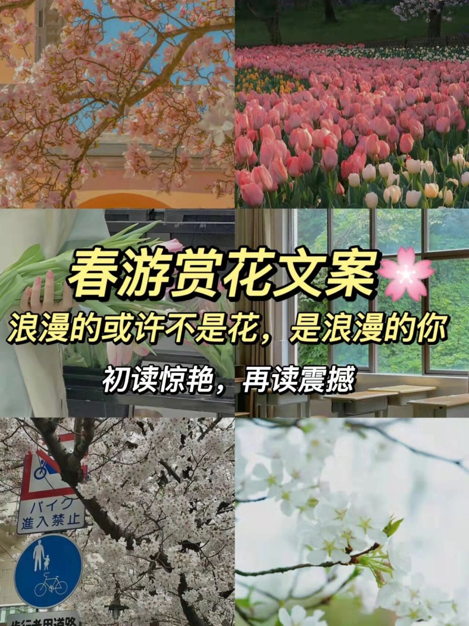 春游赏花文案78花开遍野时94我们见面! 笔记灵感 嗨喽! 大家好!