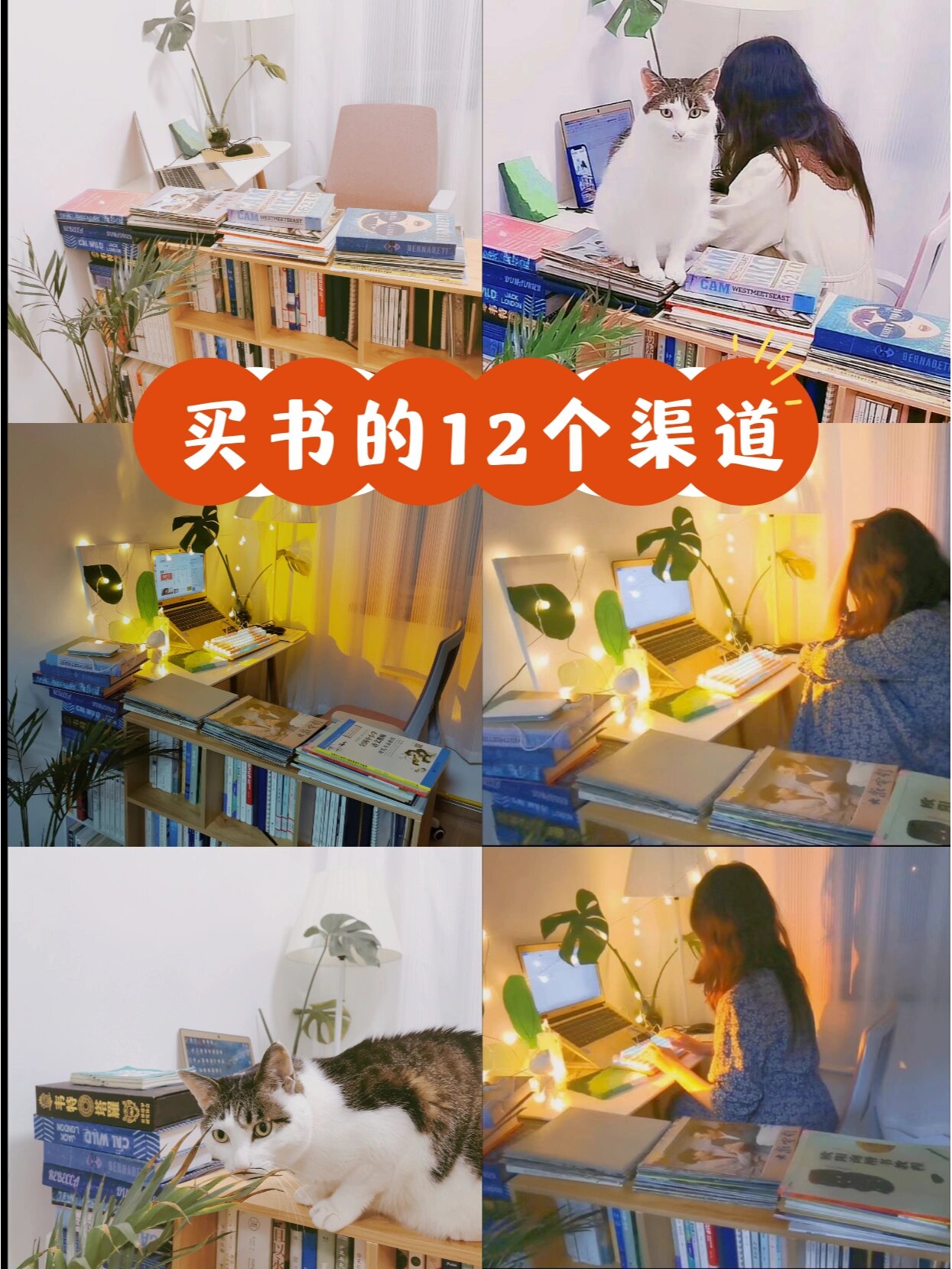 买便宜书的12个渠道 ①中国图书网:卖图书尾货,书目比较全,是新书