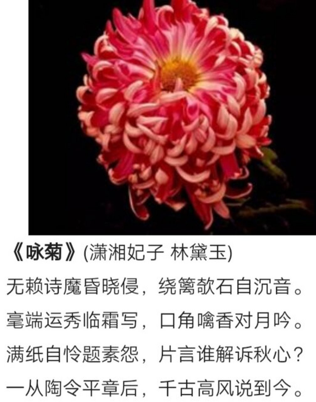 《红楼梦》菊花诗十二首‖欣赏(一)
