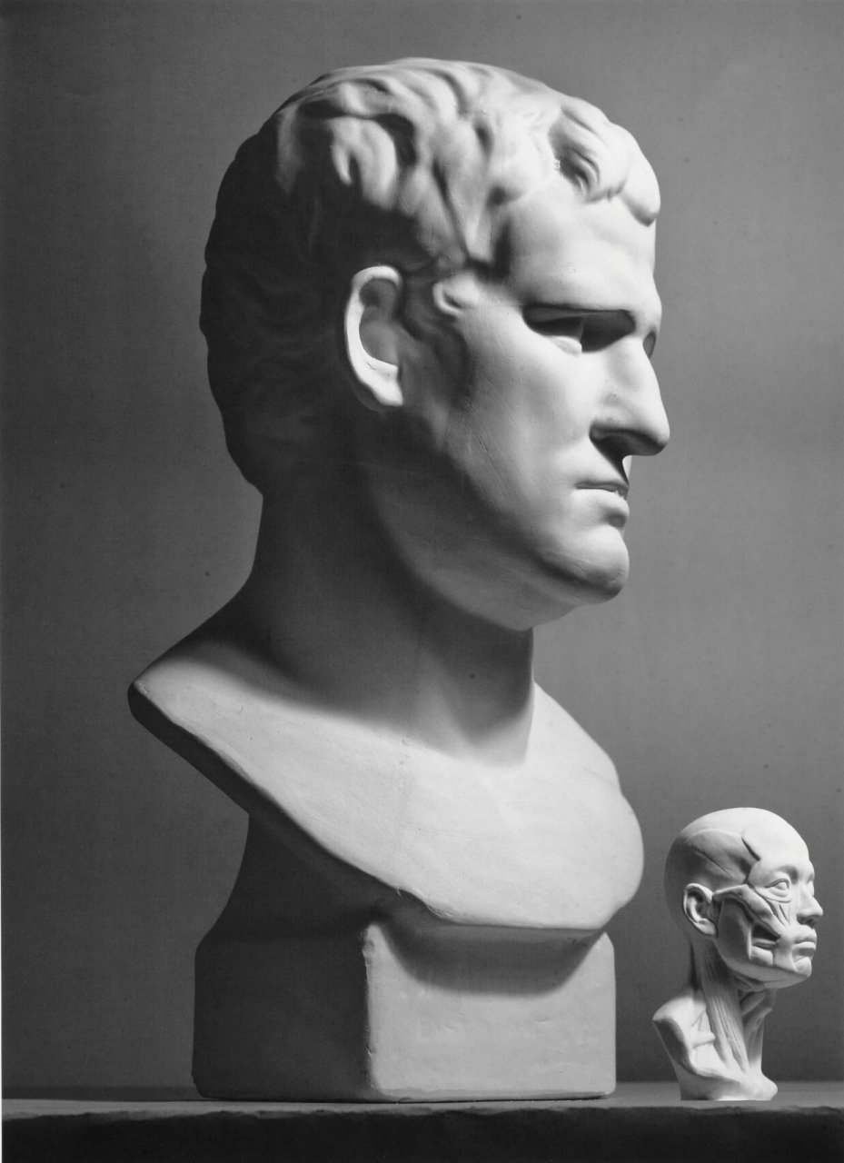 阿格里巴石膏像 不同角度的阿格里巴石膏像分享 	 素描必画石膏像