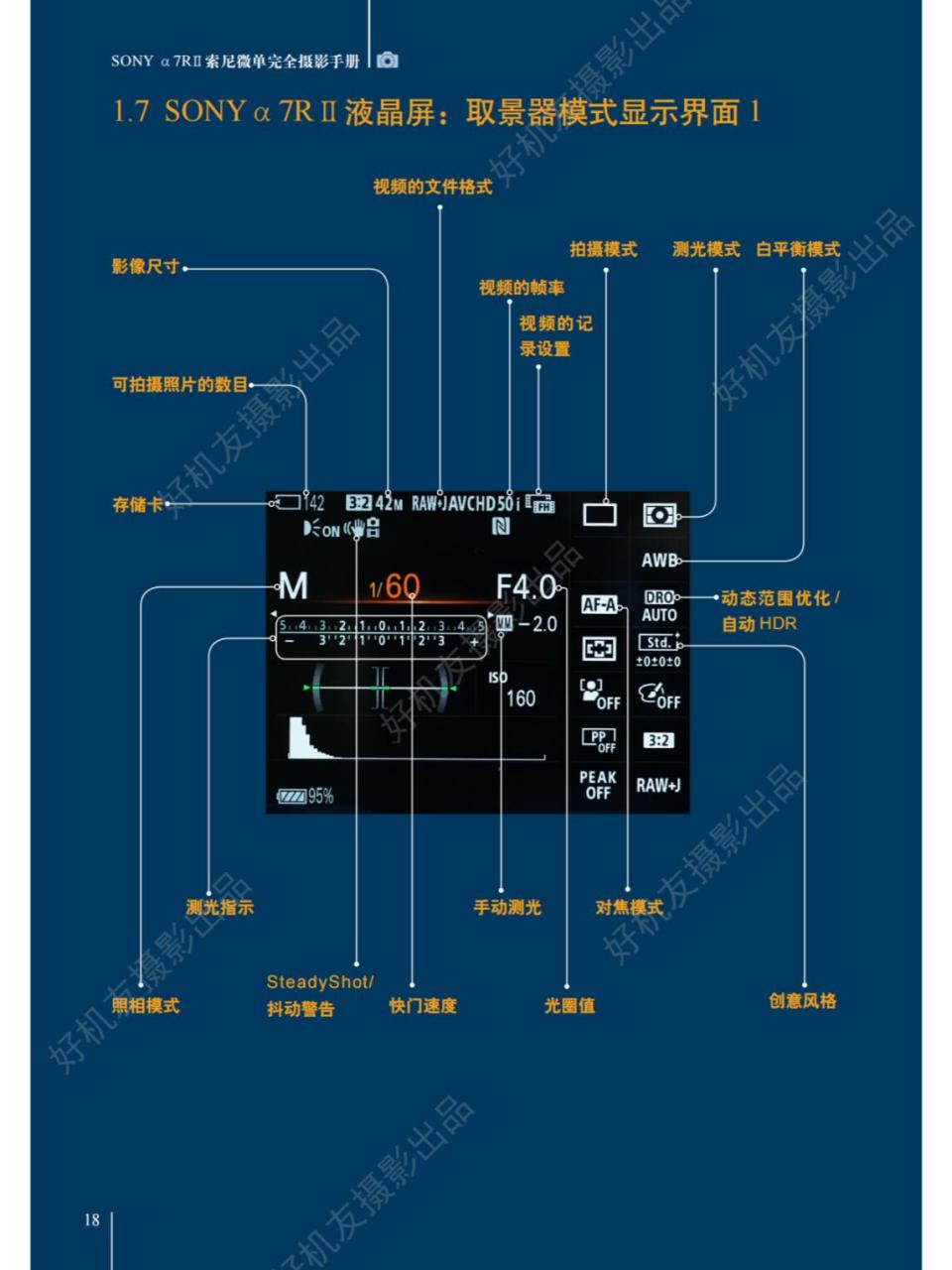 微单摄影技巧入门详细说明02#摄影#0202#干货#0202#索尼