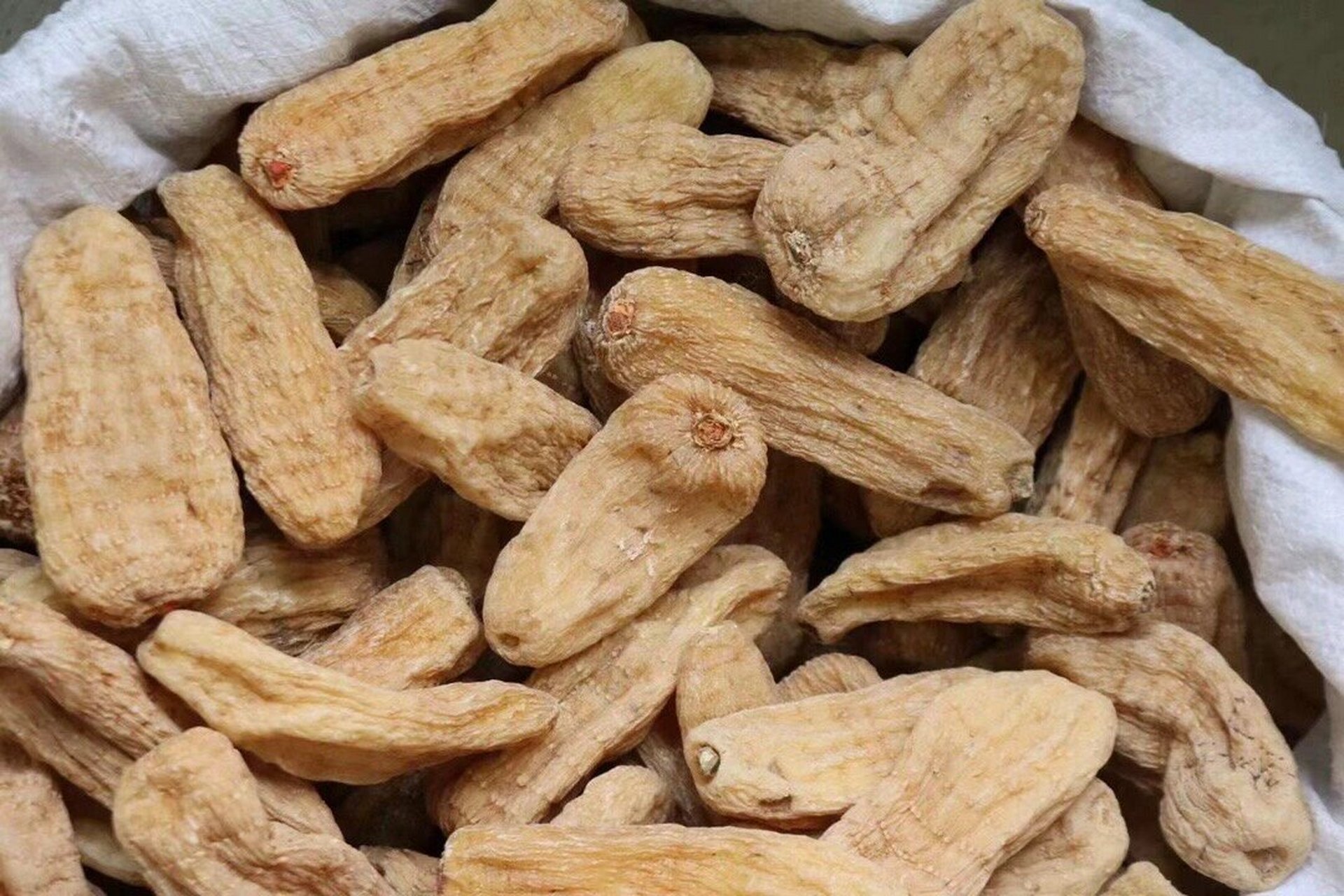 云南丽江大号红天麻 一斤大概7头左右 最漂亮最大的云南丽江天麻,最大