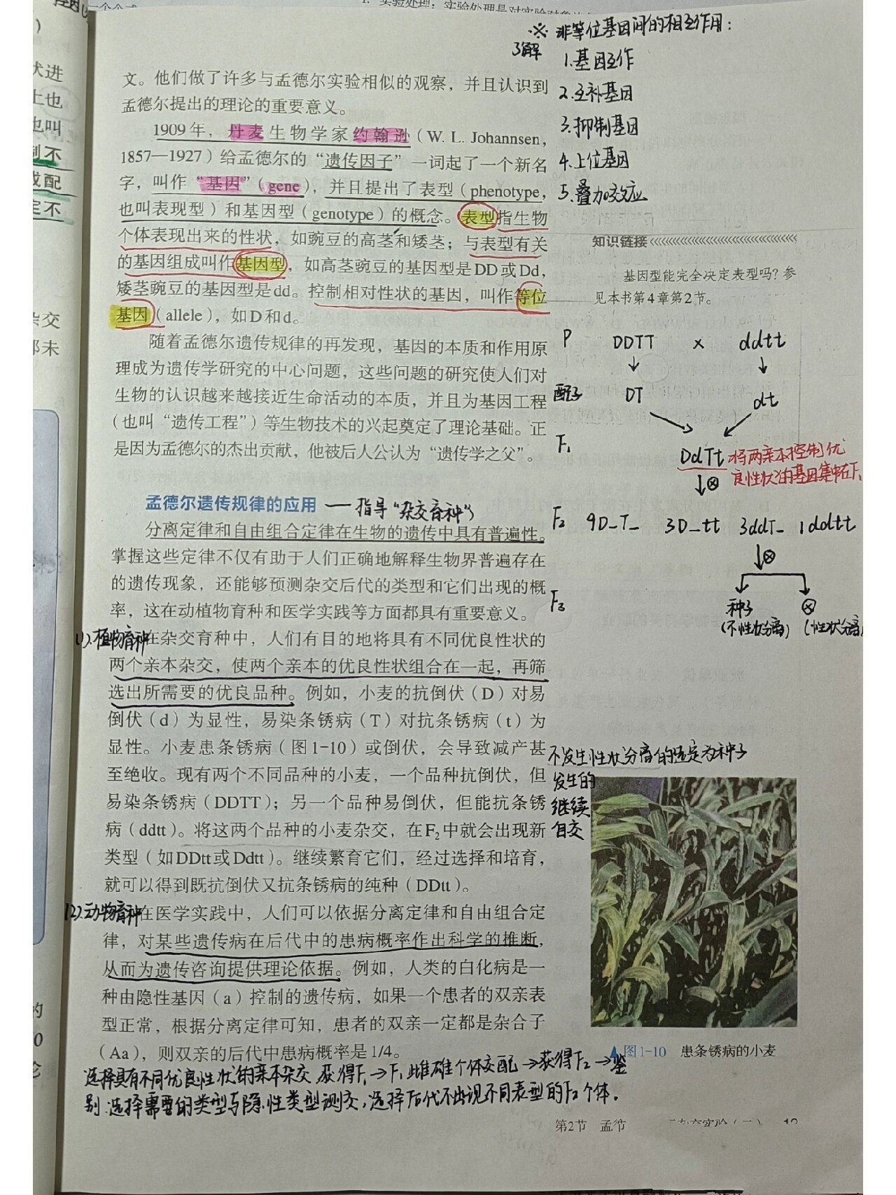 
本溪第二高中生物
  第2张