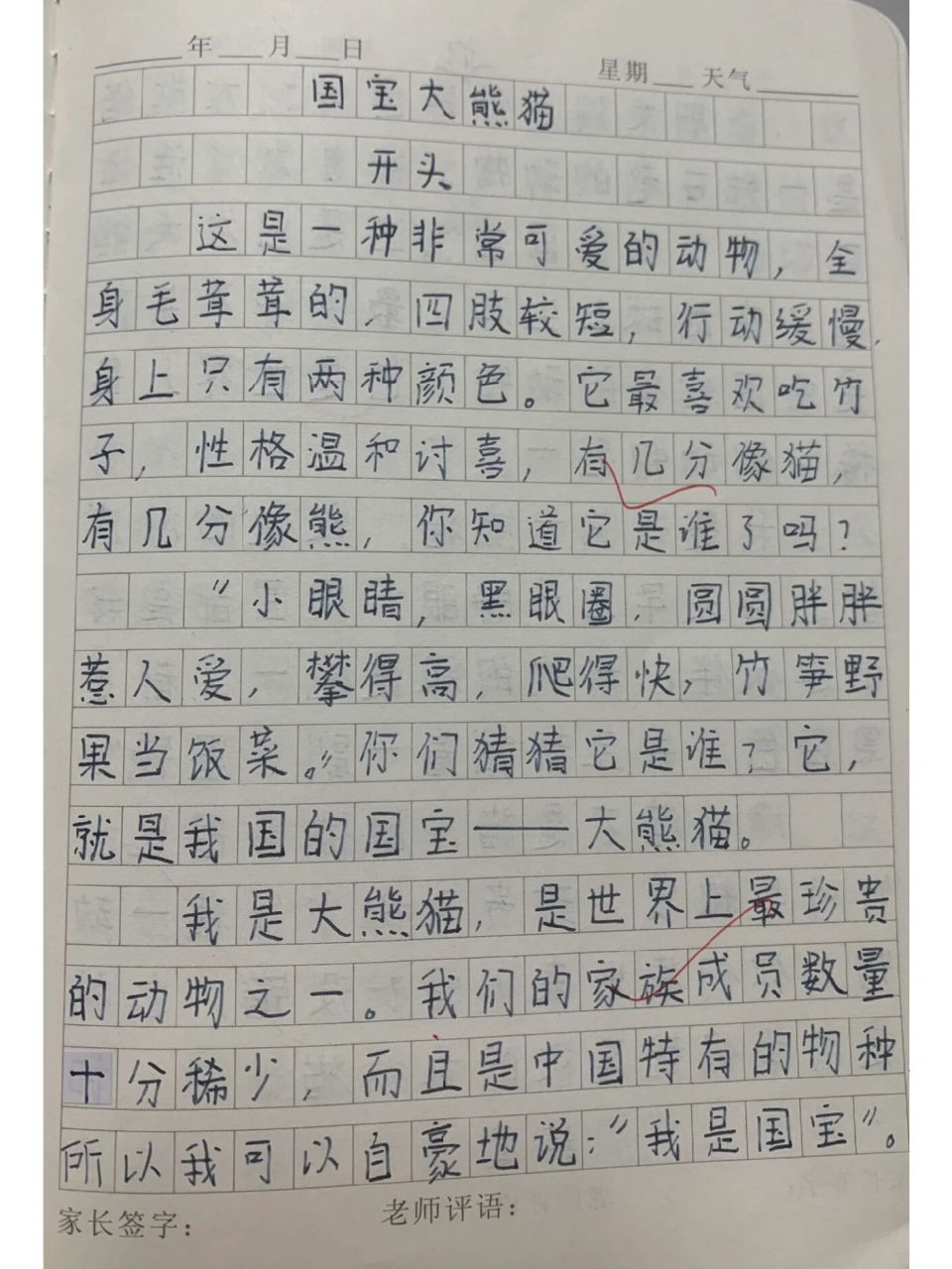 三下习作7国宝大熊猫开头,结尾,样子等摘抄            ,持续更新精彩