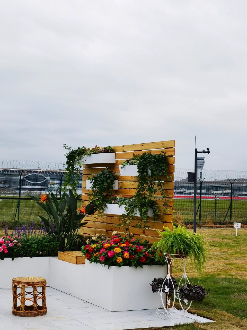 成都花展 【免费打卡】成都花展 今日成都2023年花展在双流区空港体育