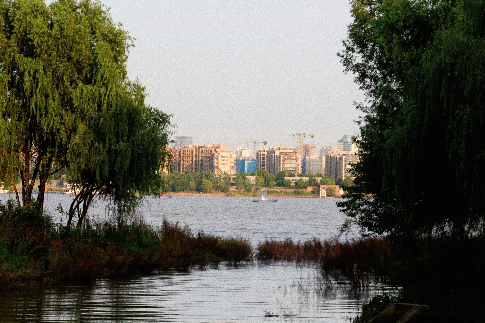 南京周末去哪玩——桥北滨江生态公园 超多人在江边,还有搭吊床的.