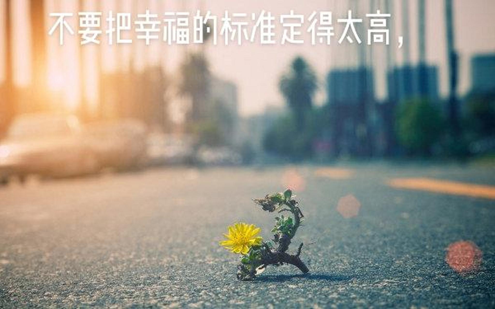 不要把幸福的標準定得太高,生命中的任何一件小事只要你細心品味過