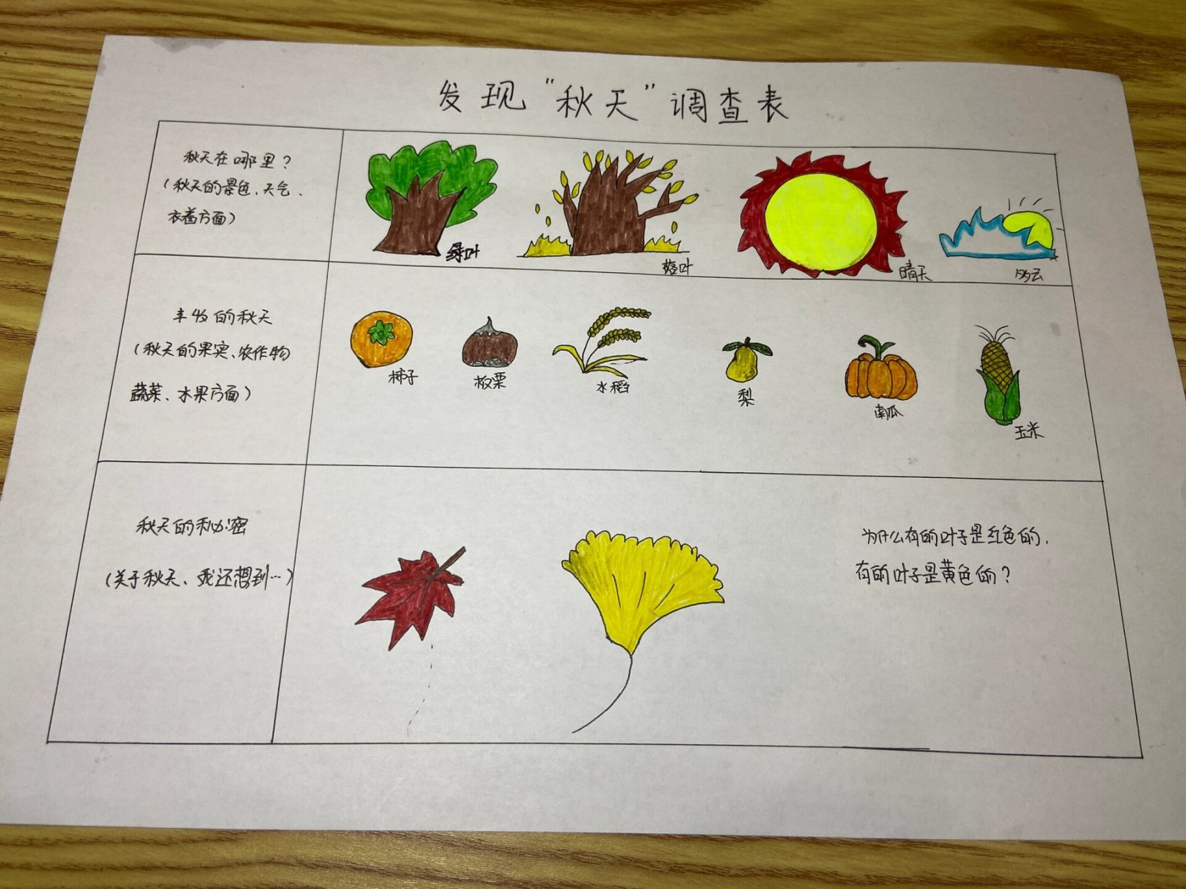 幼儿园秋季种植调查表图片