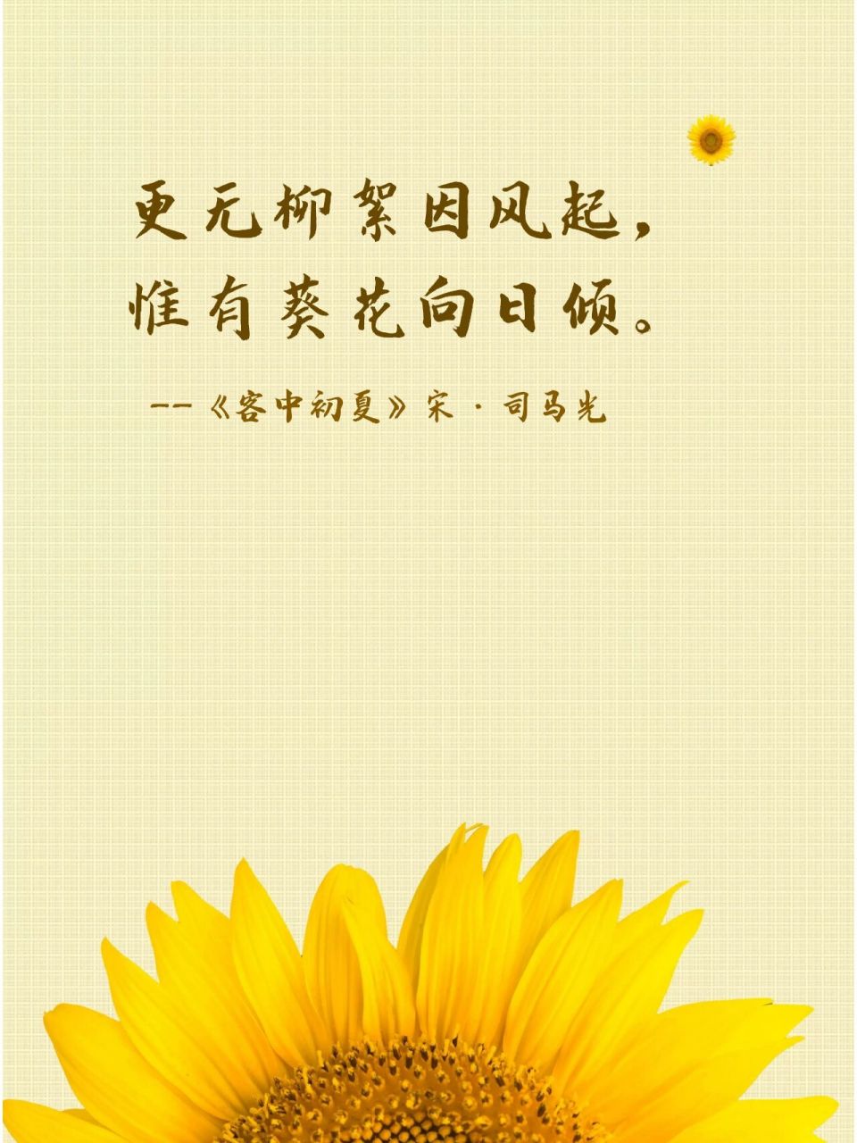 诗词摘抄·向日葵|入目无他人 四下皆是你 历代诗人