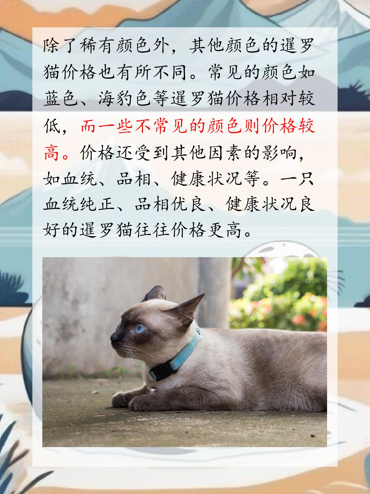 暹罗猫哪个颜色最贵 我认为,稀有色品种的暹罗猫往往更贵,但价格也