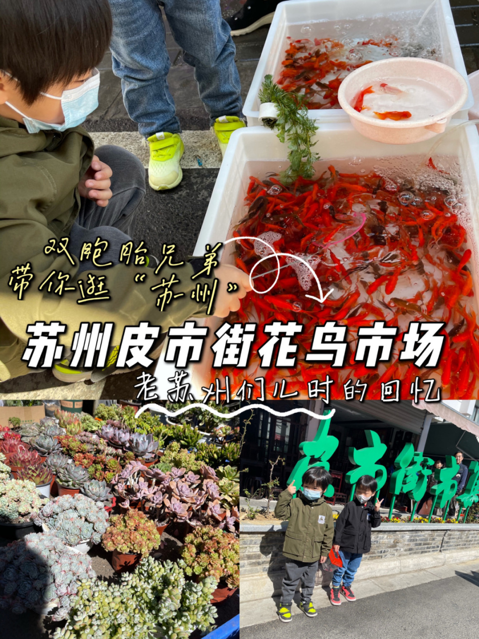 老苏州们儿时的回忆皮市街花鸟市场 皮市街花鸟市场位于观前街北,姑苏