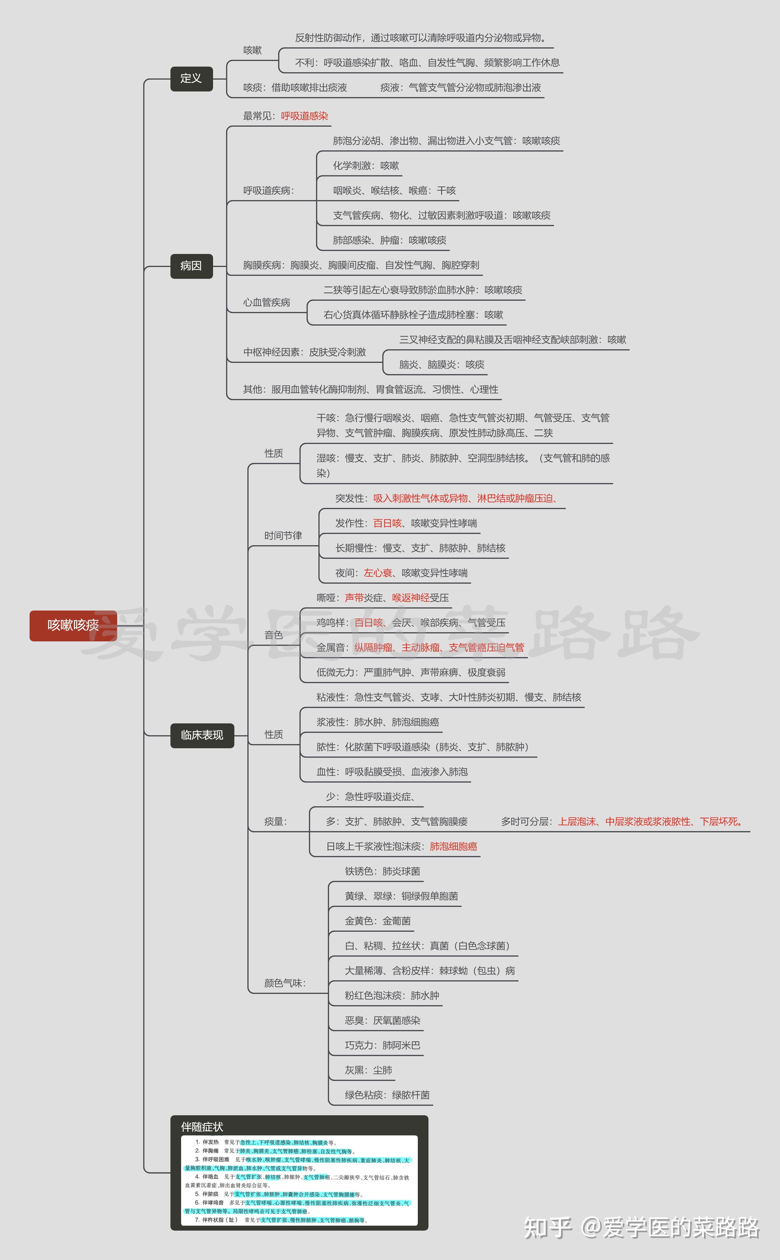 主动脉分支思维导图图片