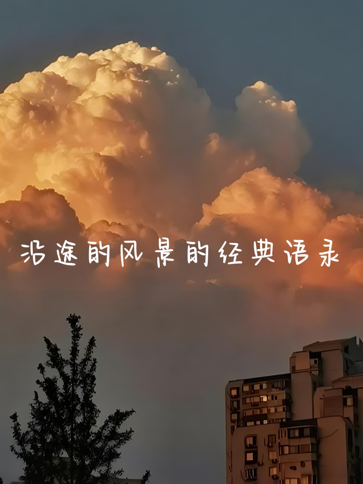 沿途的风景的经典语录 发现沿途的美好,从这些经典语录开始! 1.