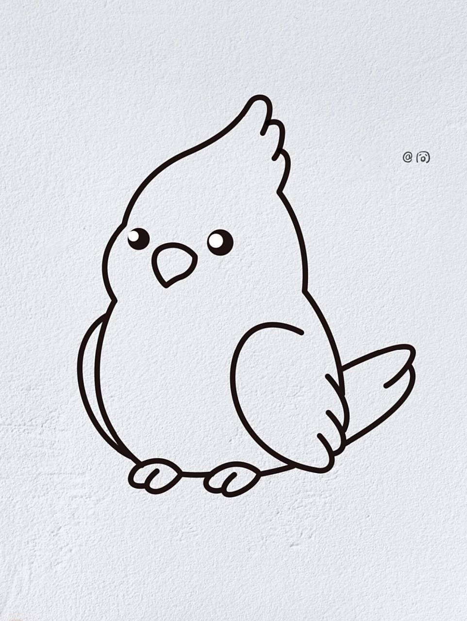 动物简笔画之可爱的鹦鹉(内附过程图)