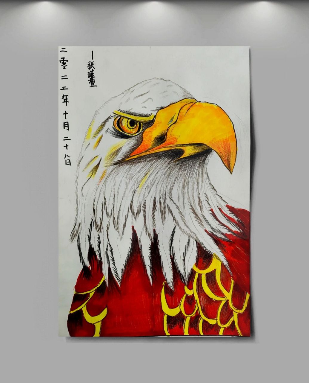 鹰彩铅绘画 三年级鹰照片写生