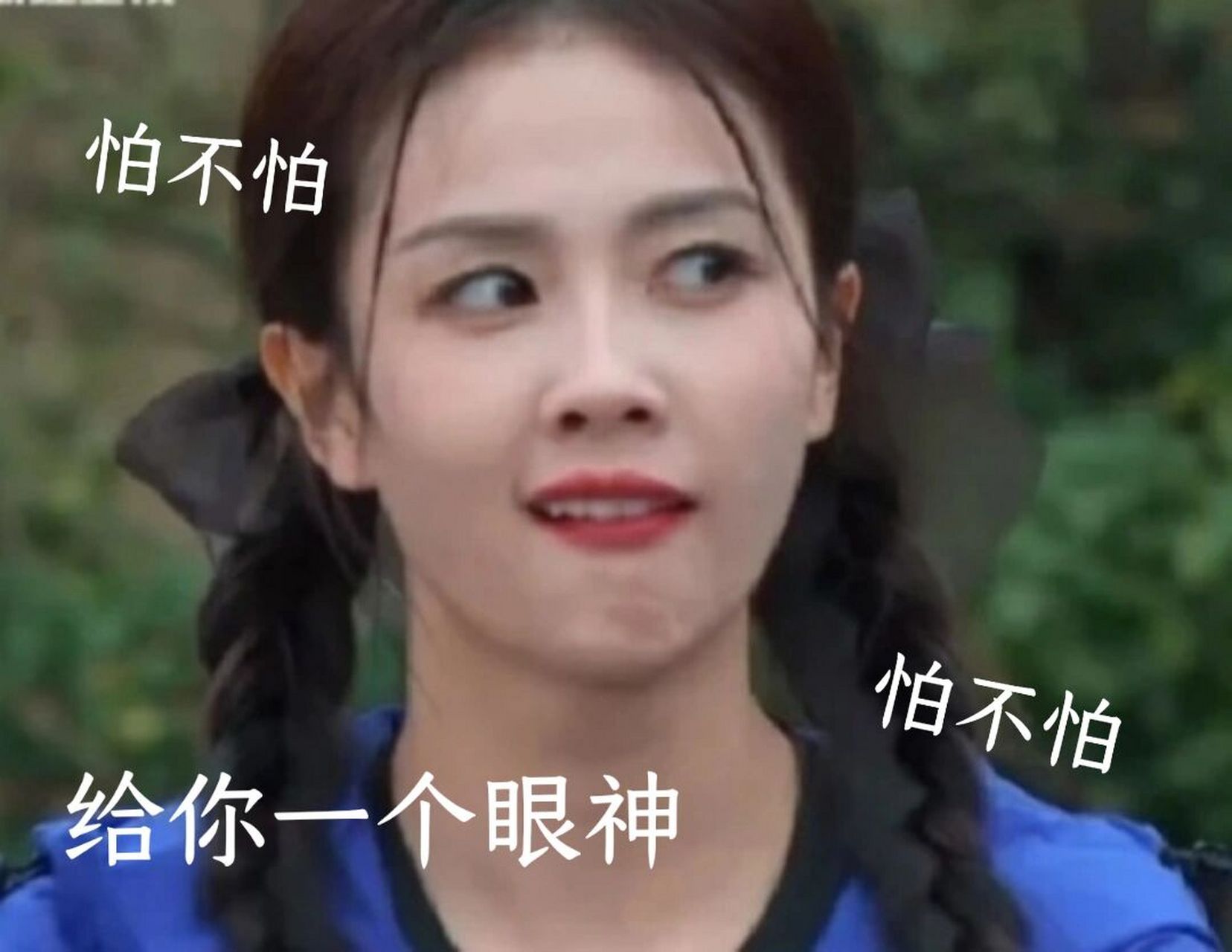 白鹿搞笑表情包1