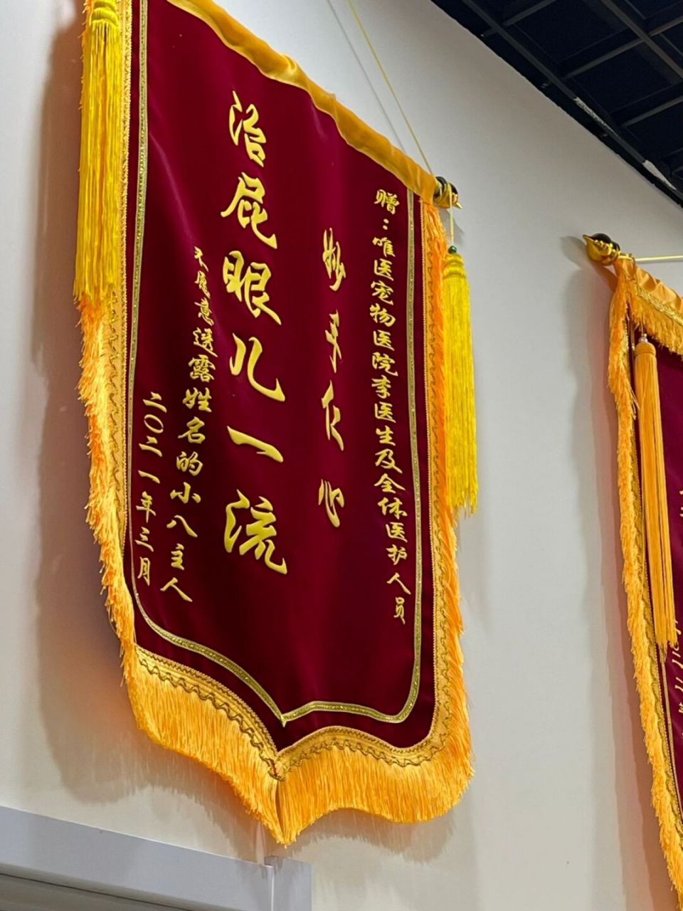 宠物医院的锦旗快笑死我了 #宠物医院# #萌宠成长记