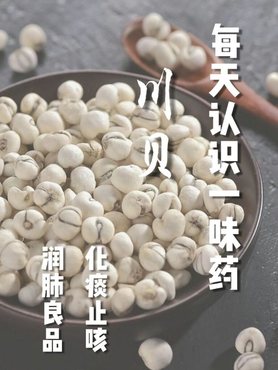 川贝也被俗称"怀中抱月",他的外形特征看起来好像新月形的贝母芽被