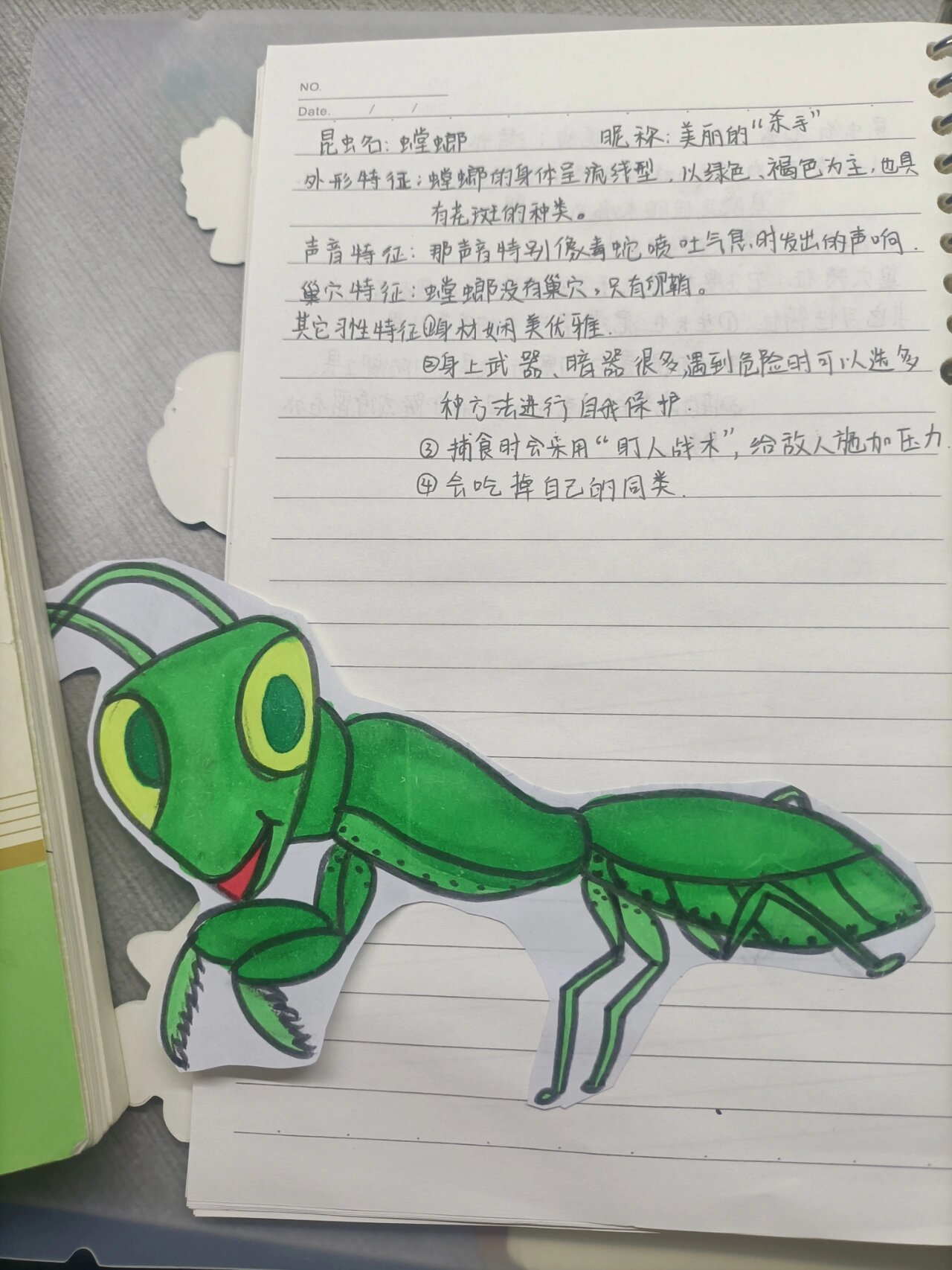 《昆虫记》螳螂笔记