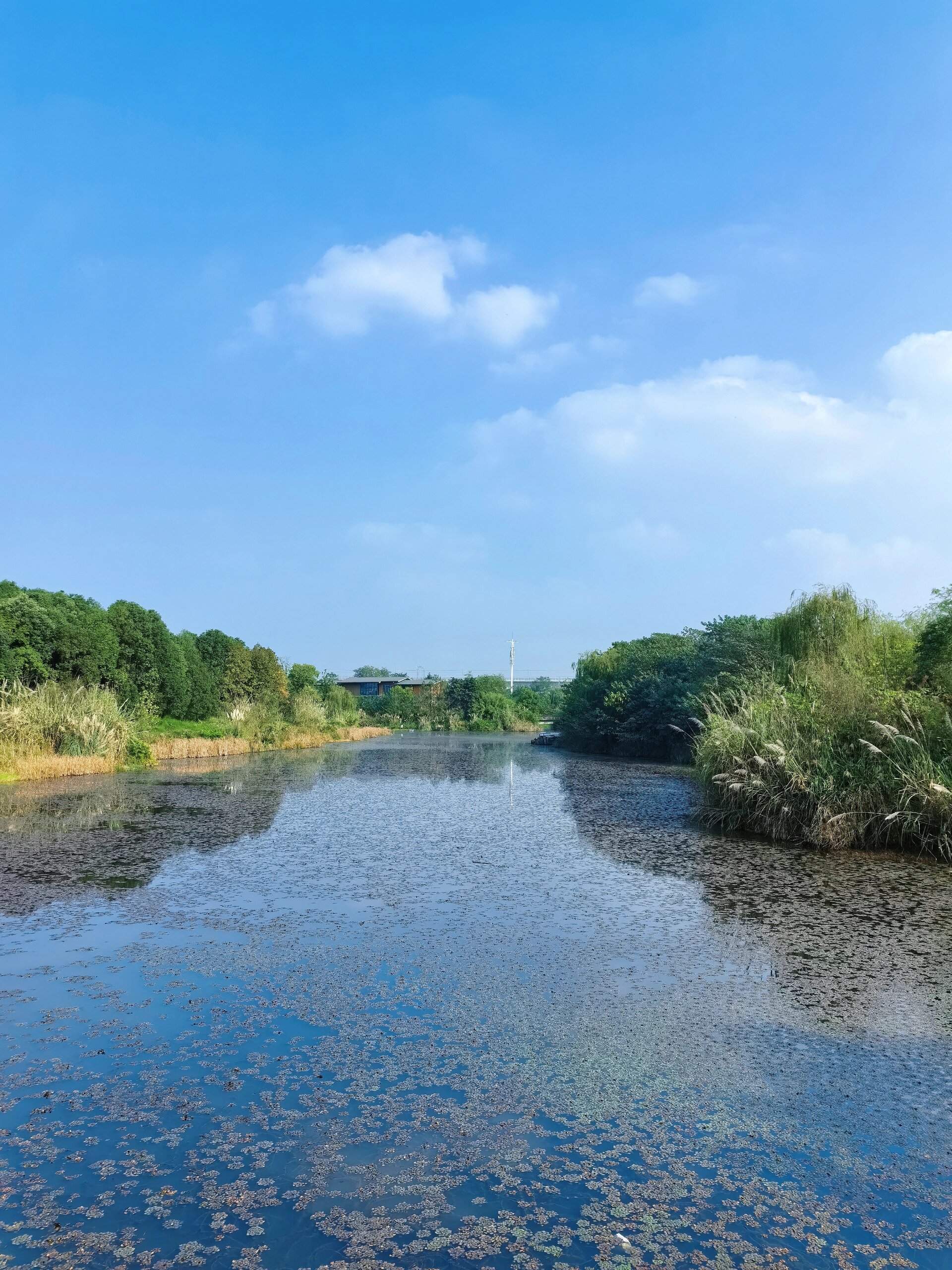 白鹭湾湿地公园好适合休闲骑