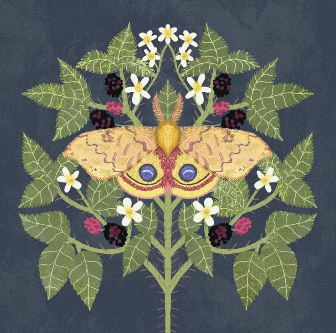 一组对称图形插图分享