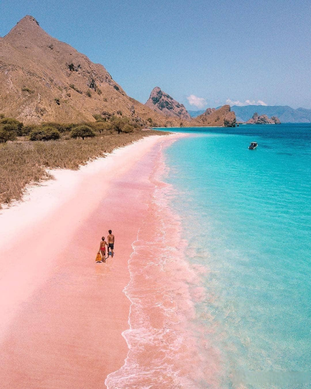 全球美景分享:龙目岛粉色沙滩(pink beach in komodo,印度尼西亚.