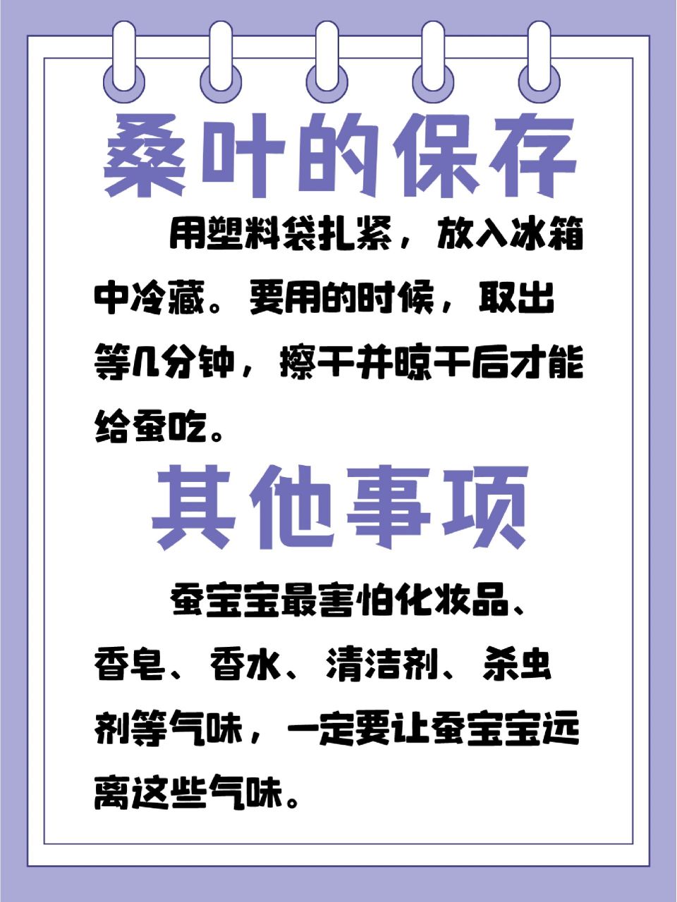 小方听说娃儿们最近都在养蚕 专门给大家准备了养蚕注意事项 一起来