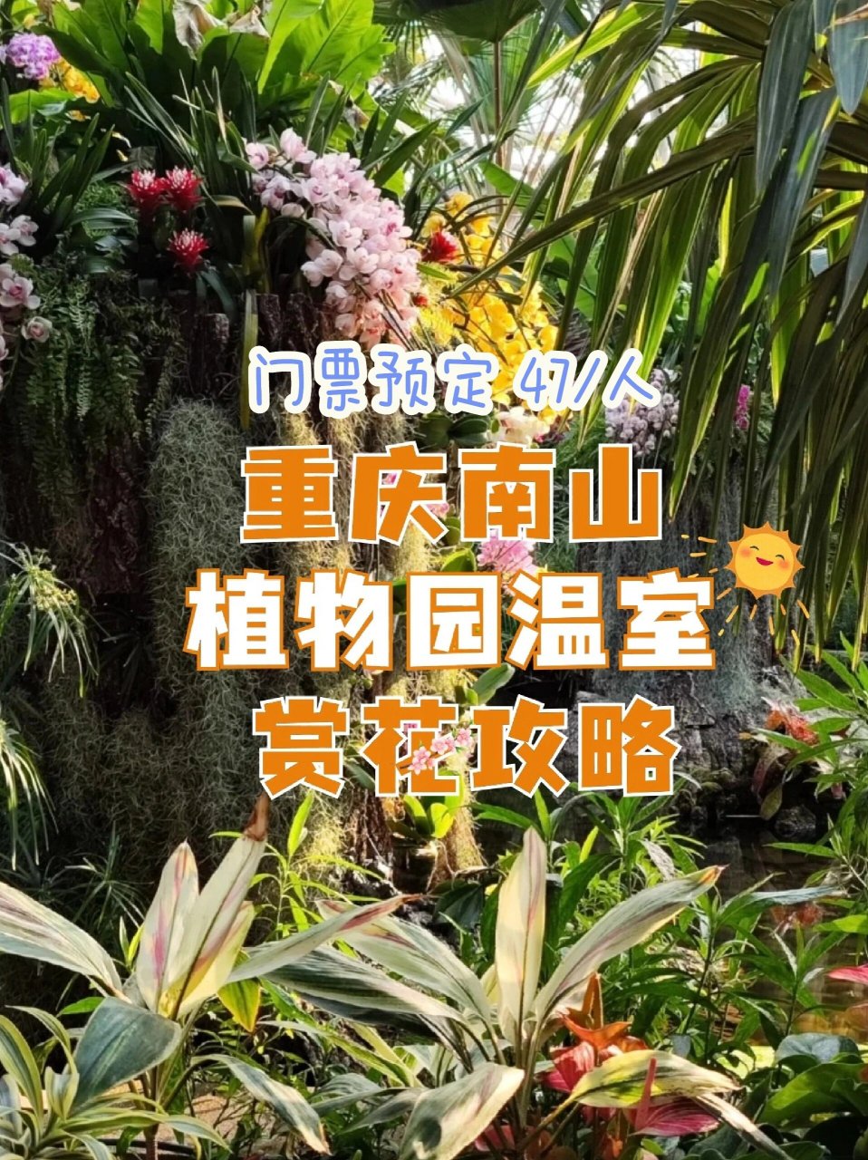 重庆南山植物园门票图片