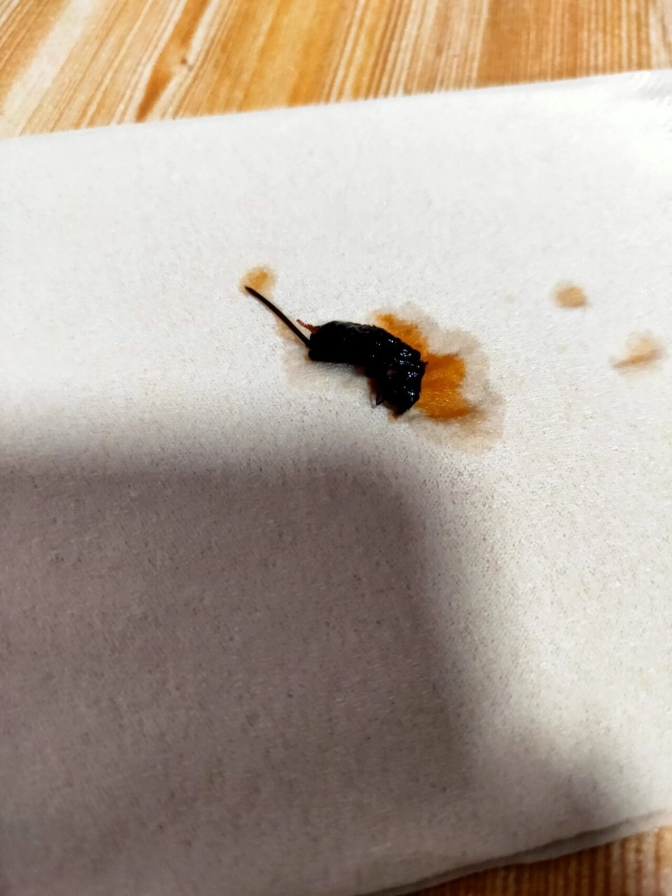 救命,螺蛳粉里吃出个超大号虫子 (向右划看虫子,建议正在吃饭的友友不