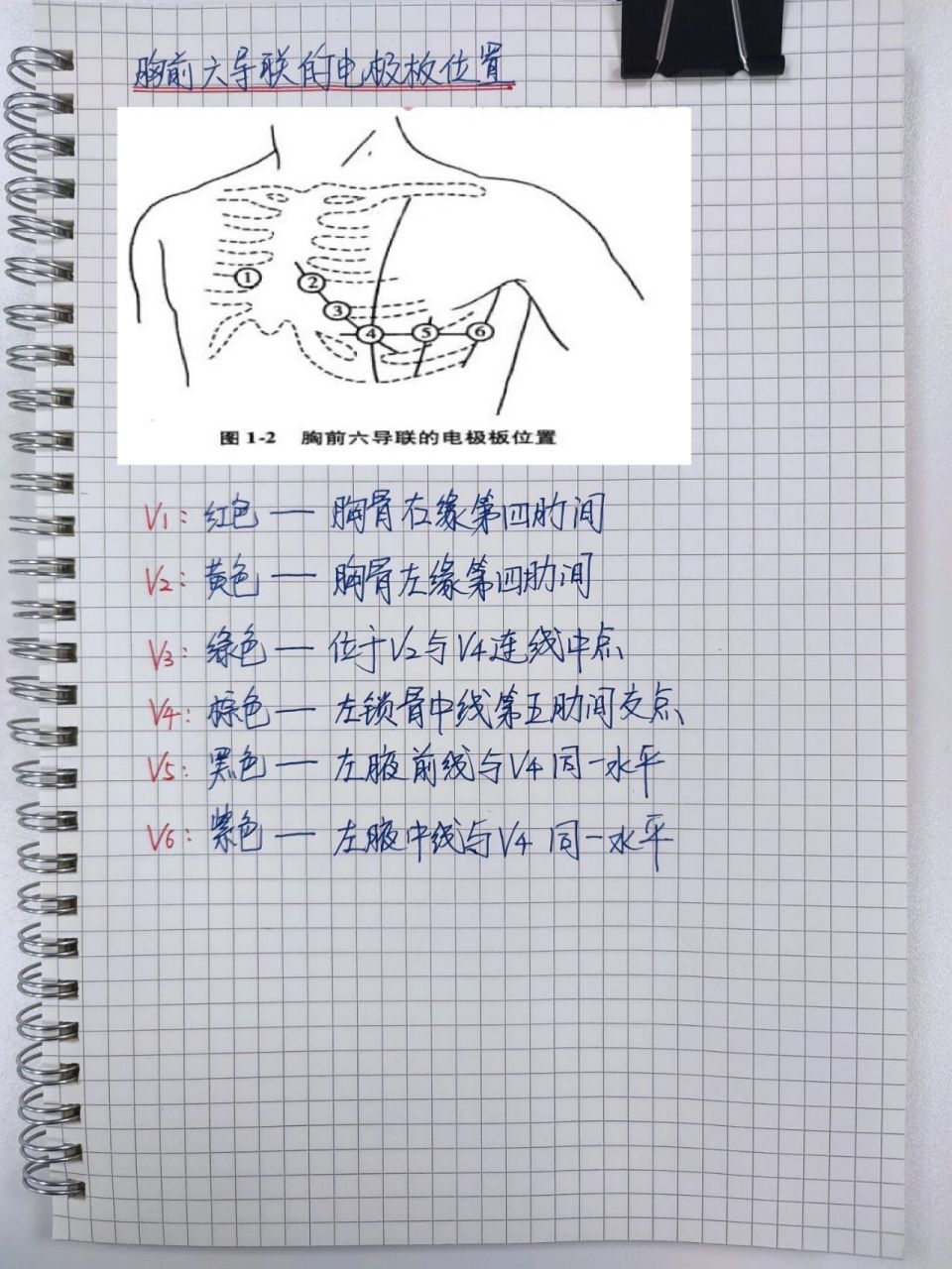 7315心电图十二导联位置及颜色记忆口诀:左手梨黄橙橙,右手