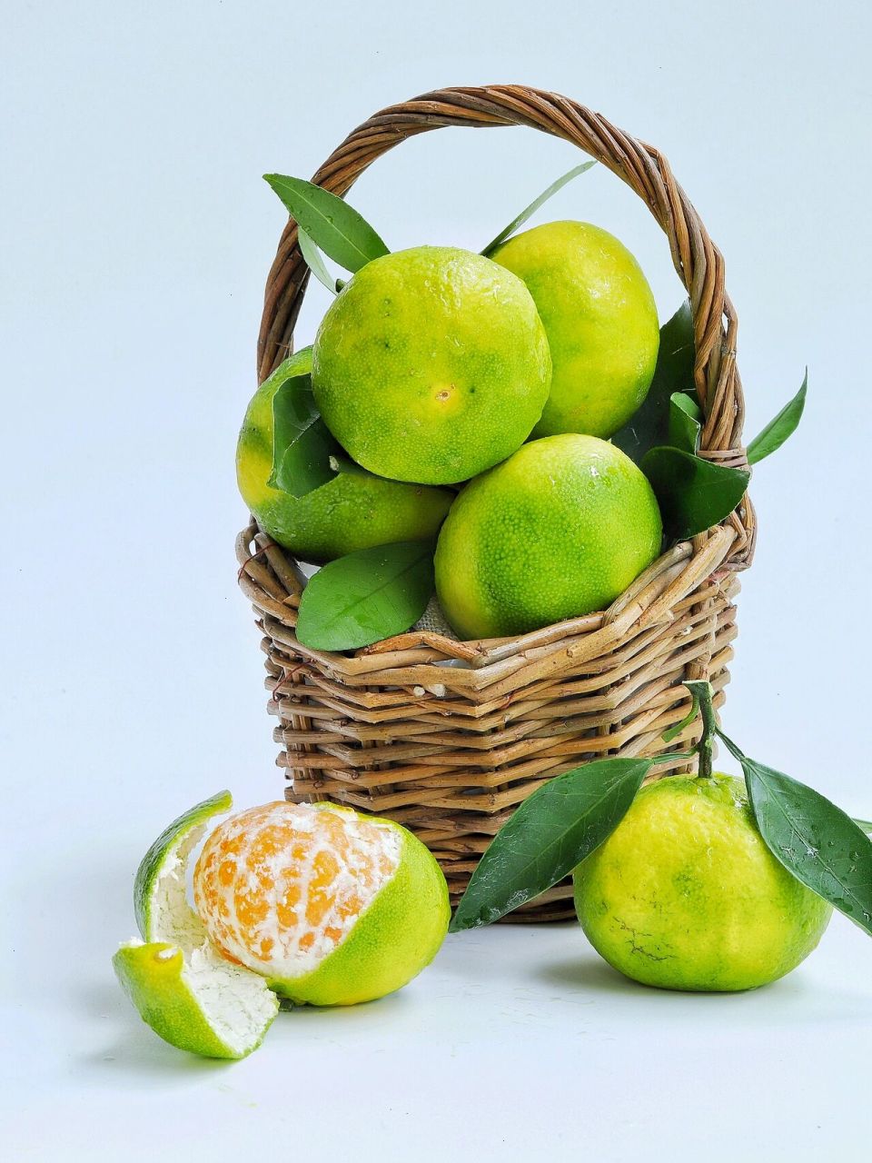 绘画素材:水果,橘子