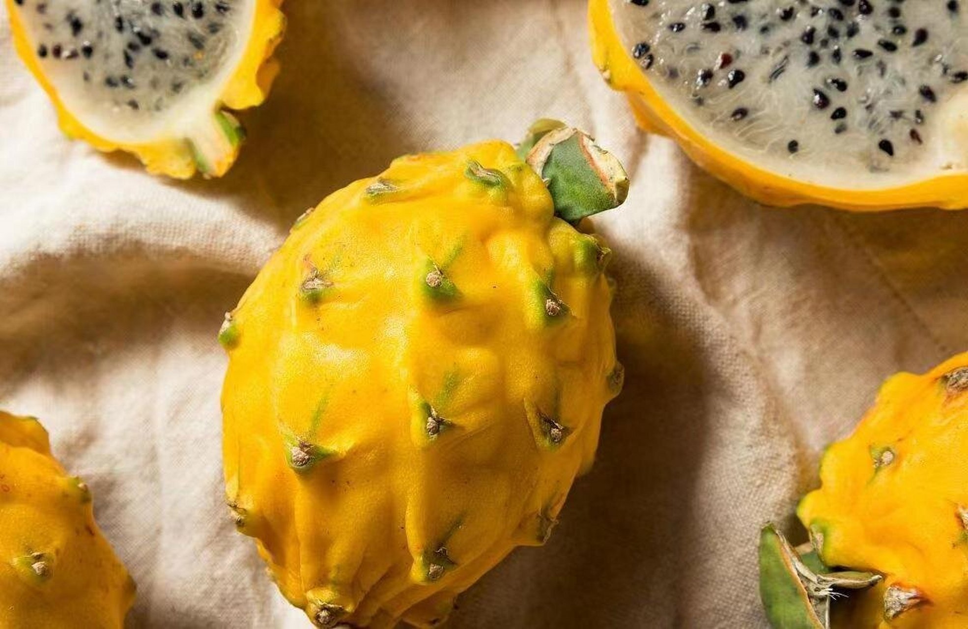 【西语阅读】在海南遇见拉美:黄金火龙果 la pitahaya amarilla es