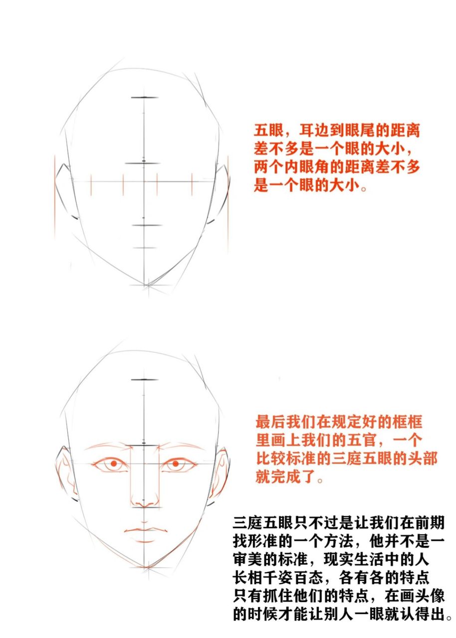 三庭五眼头部图片