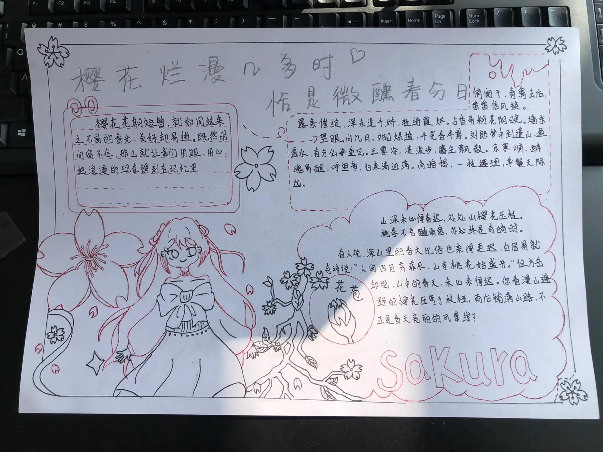樱花主题手抄报🌸
