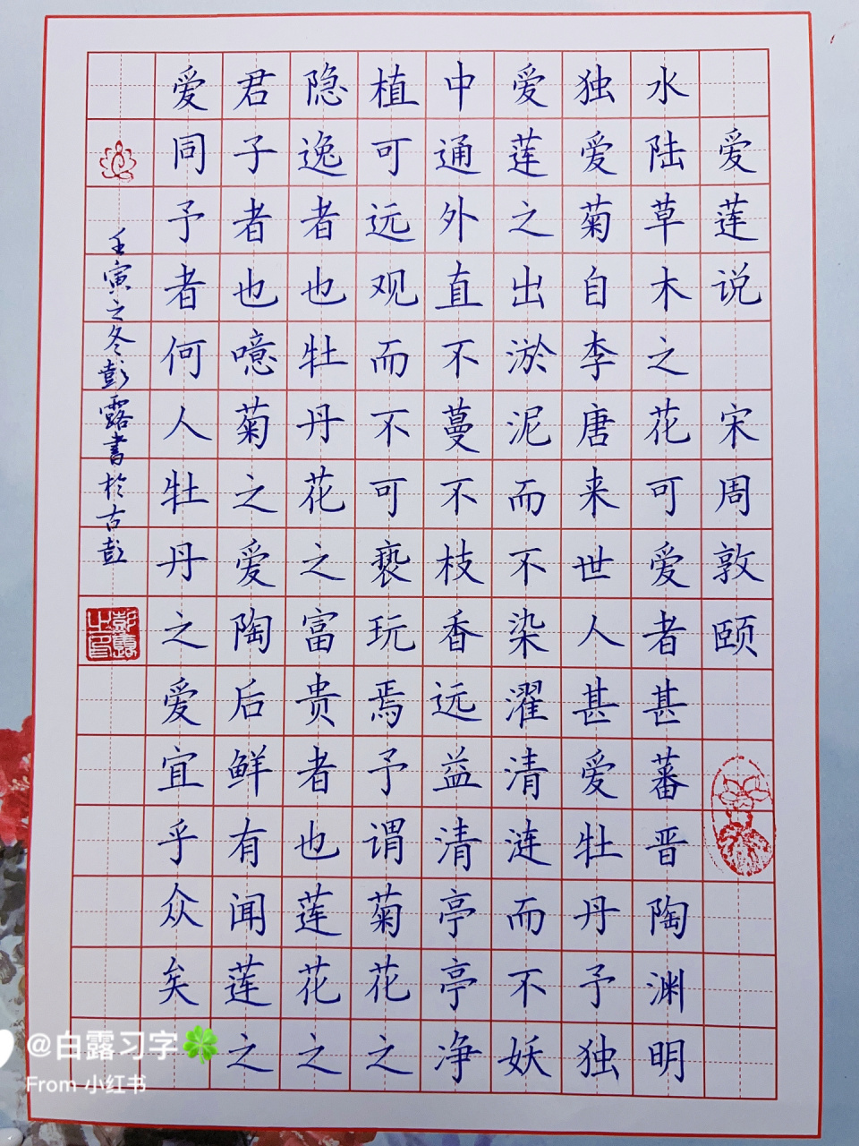 100幅书法作品(27/100)《爱莲说》   	 今日习字.楷书.中性笔.