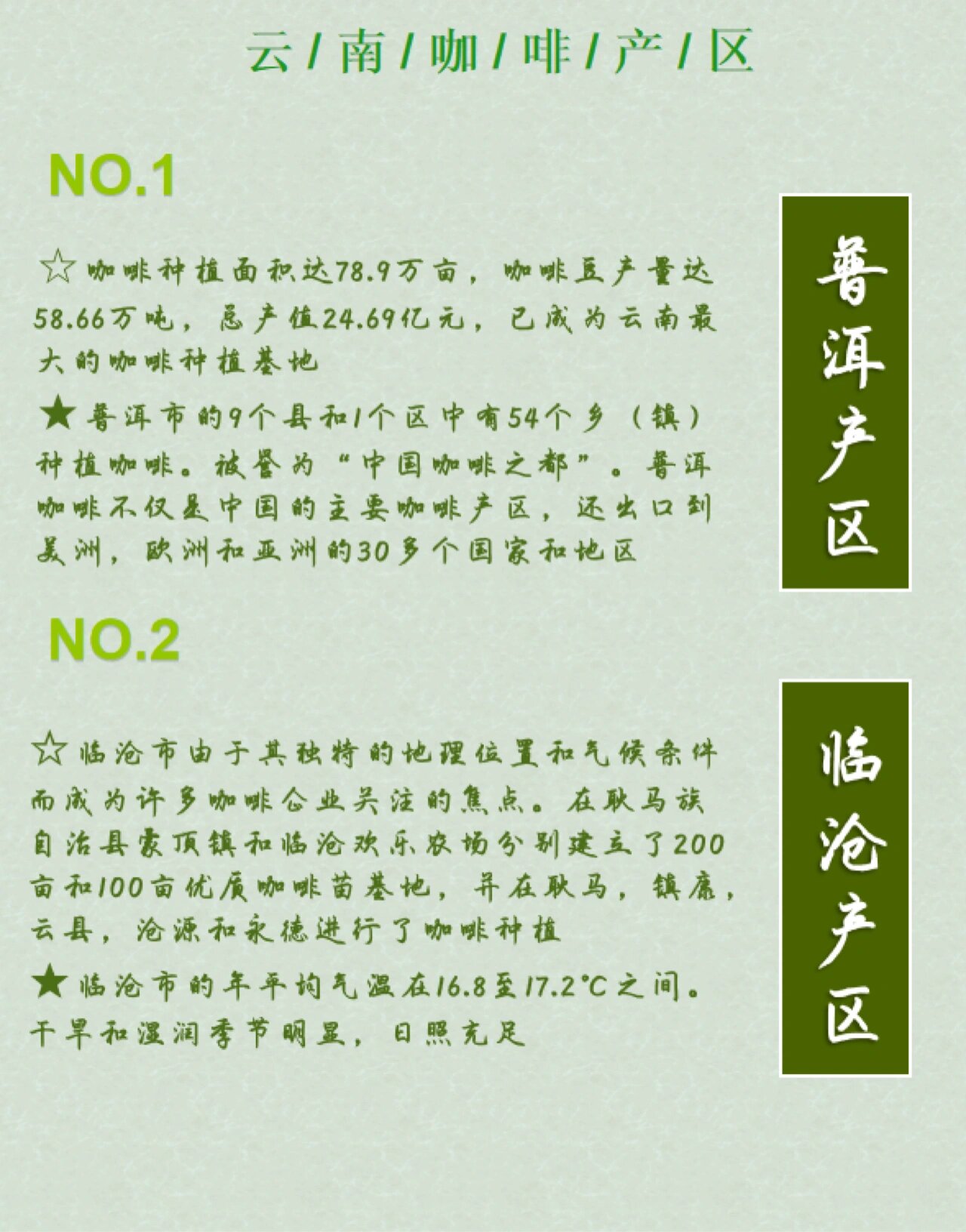 我国最好的咖啡产地|云南46615大咖啡种植地