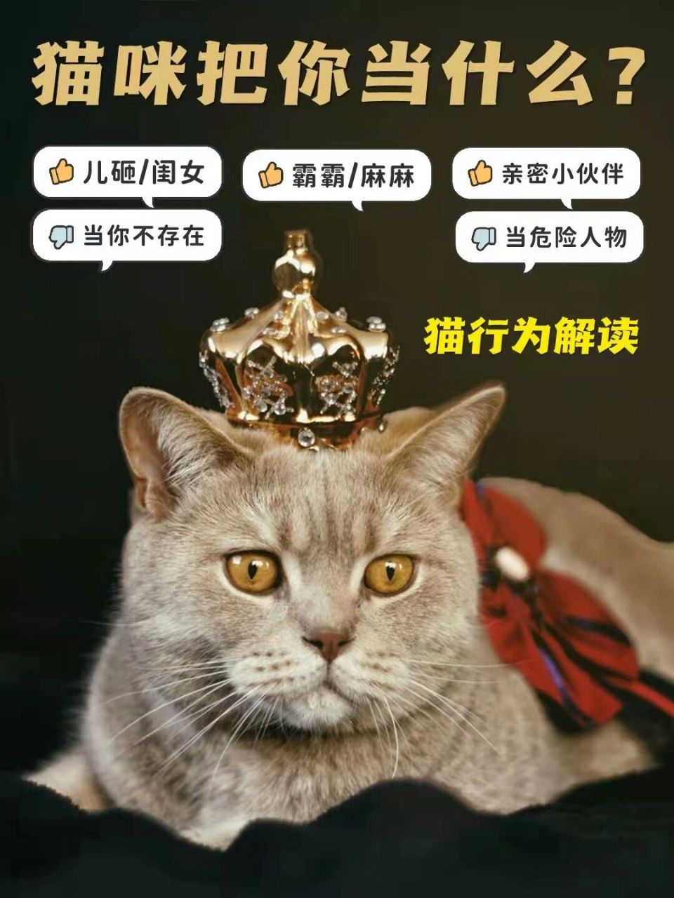 从小猫咪的行为就能看出来78一起来看看吧~ 	 96猫咪把你当儿砸