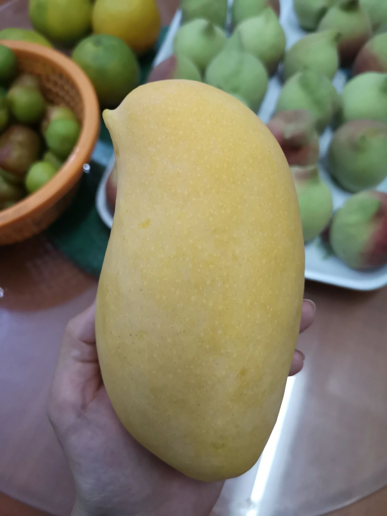 来评评大家都说难吃的鹰嘴芒!